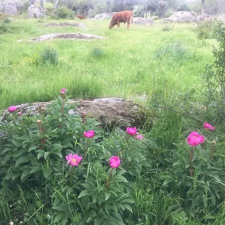 Semesterbostad Casa La Taratola *